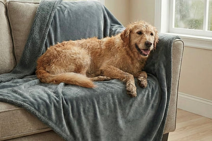 Beddy: Manta ultra-impermeable